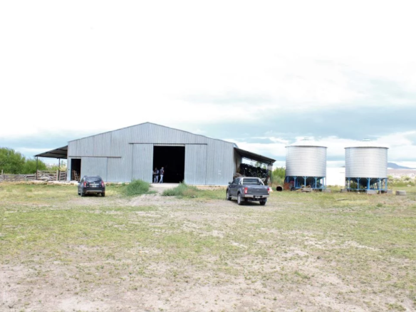 39437c 895085603be248de9adbe3e03dbe1112 mv2