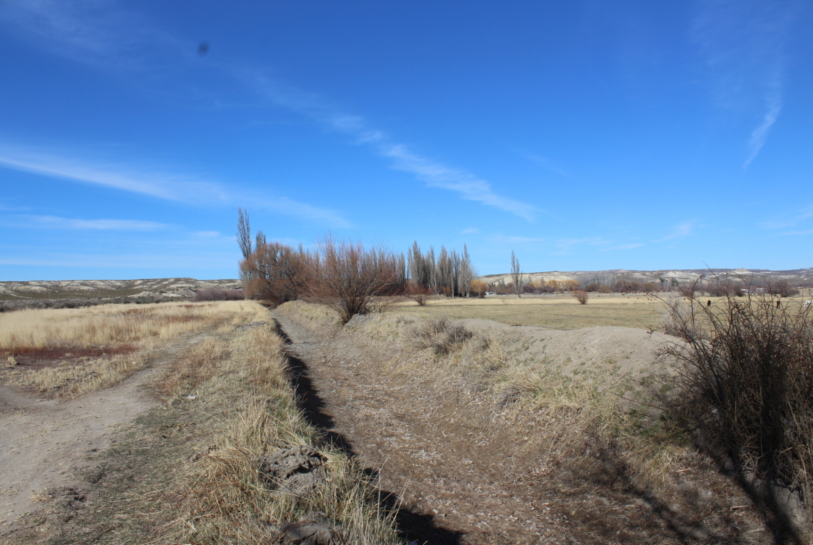1170