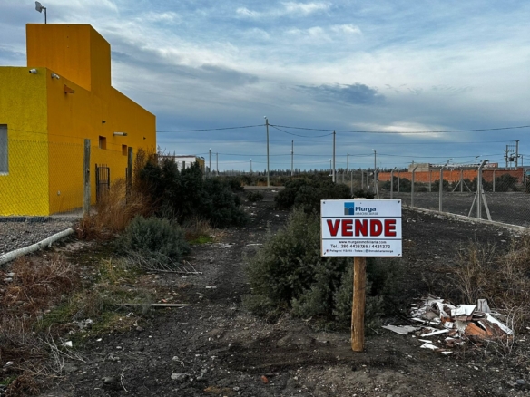 WhatsApp Image 2025 07 24 at 10.05.29