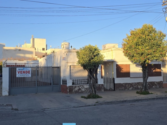 WhatsApp Image 2025 08 26 at 14.46.19