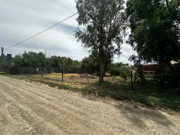 WhatsApp Image 2024 01 04 at 14.03.27