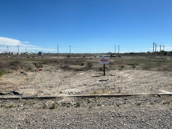 WhatsApp Image 2026 02 23 at 12.59.54