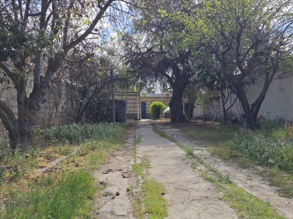 WhatsApp Image 2025 09 22 at 10.48.42 2