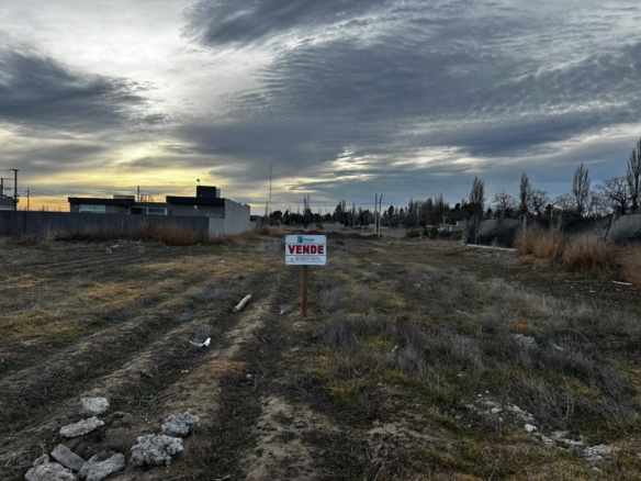 WhatsApp Image 2025 07 24 at 09.47.14