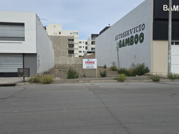 WhatsApp Image 2026 04 06 at 15.25.25 1