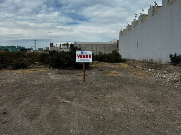 WhatsApp Image 2025 11 14 at 10.20.34